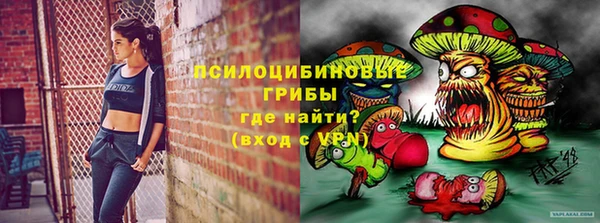 apvp Киреевск